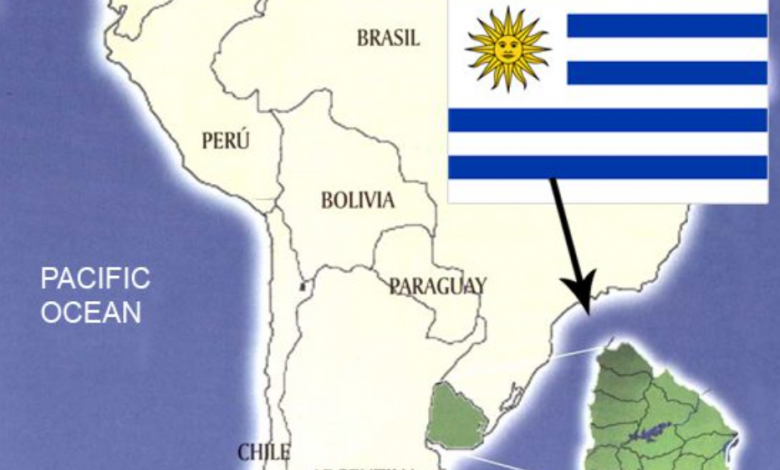 قانون الاستثمار في الأوروغواي مع إجراءات تأسيس شركة