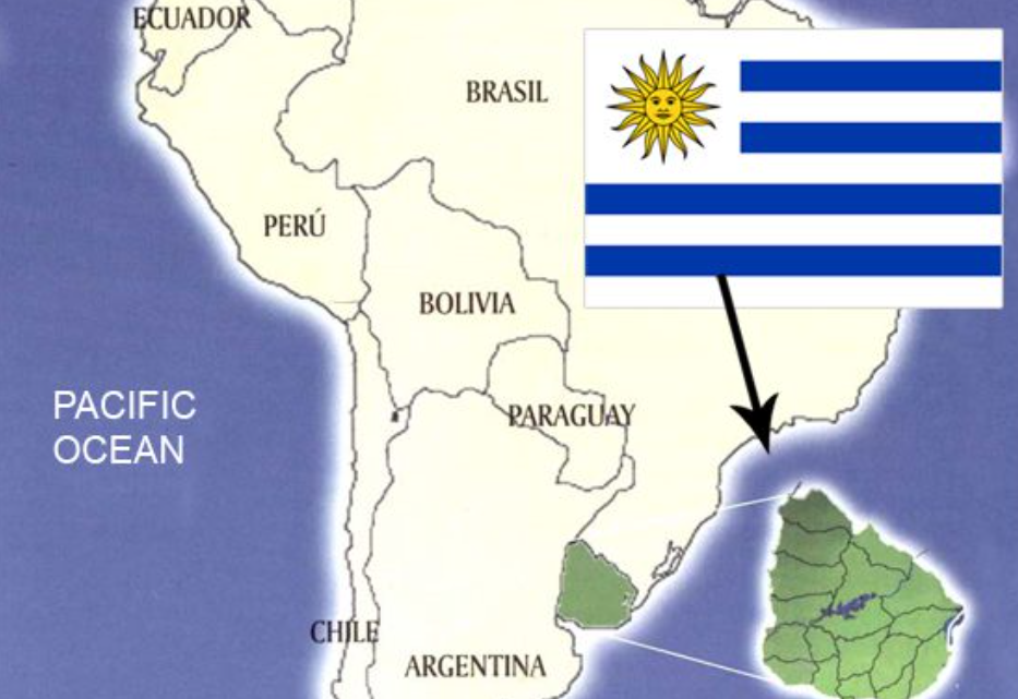 قانون الاستثمار في الأوروغواي مع إجراءات تأسيس شركة