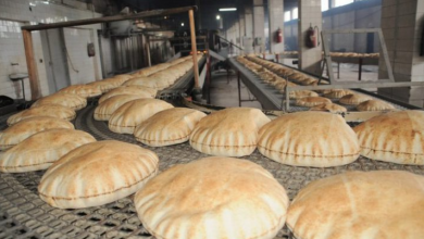 مشروع انشاء مخبز عيش عربي