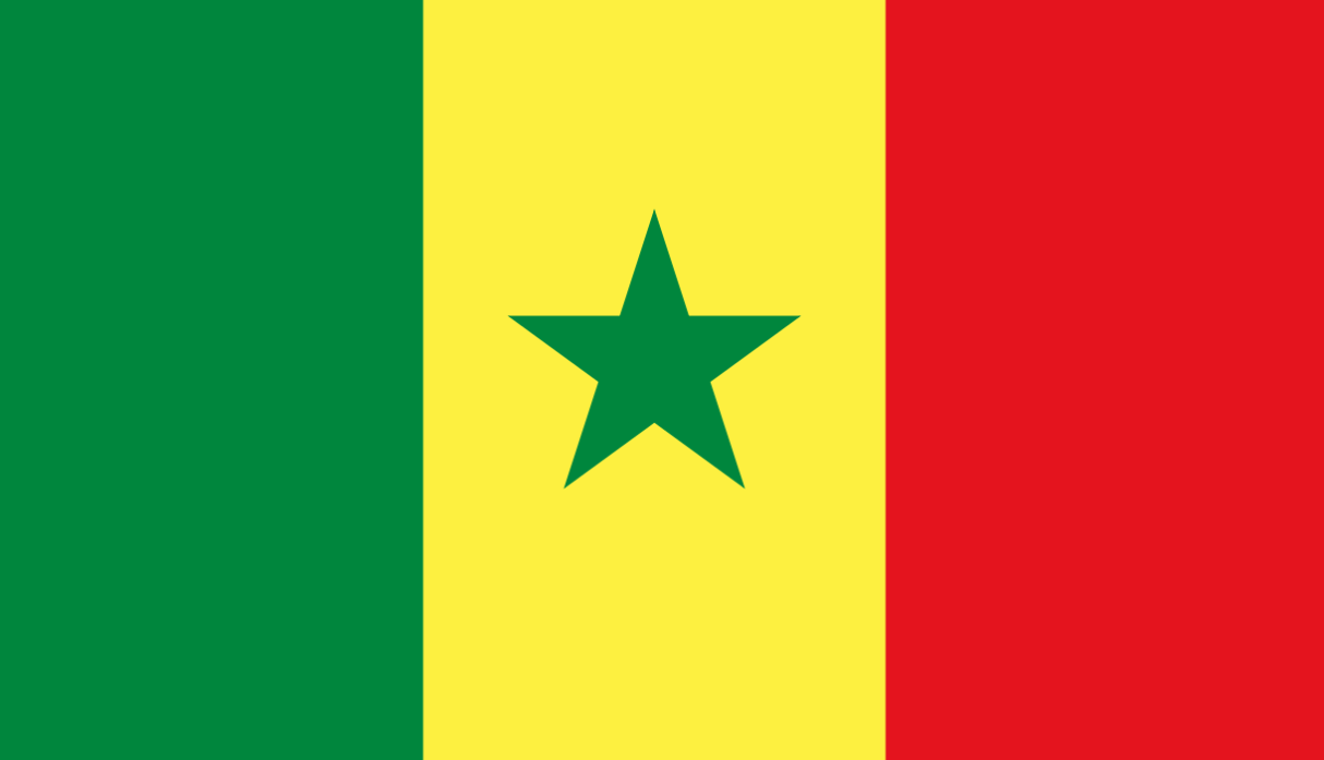 الاستثمار فى السنغال